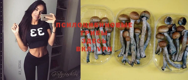 шишки Алексеевка