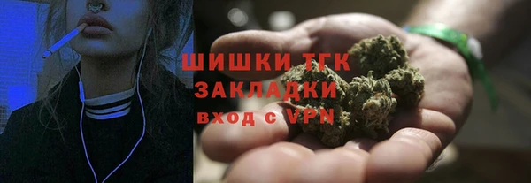 шишки Алексеевка